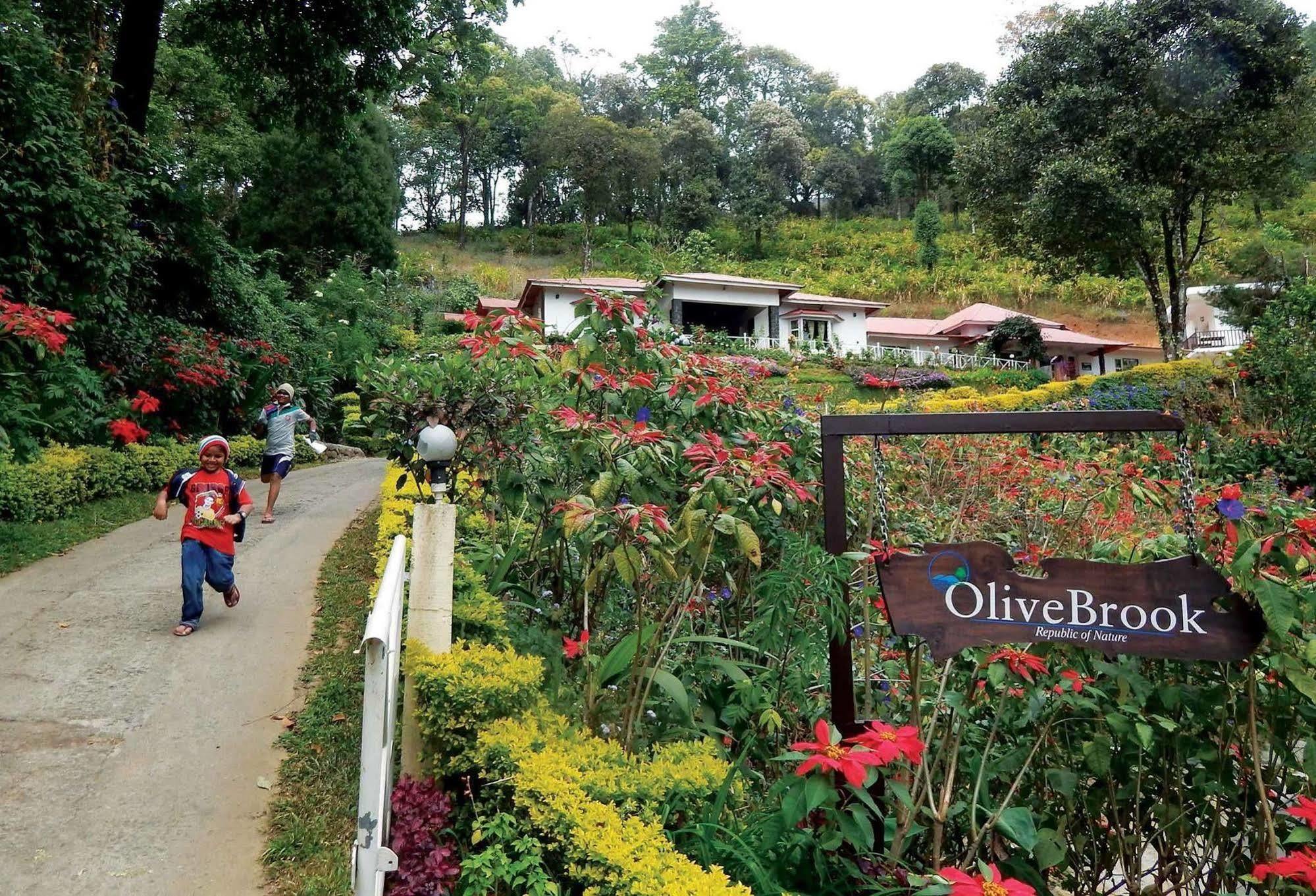 Olive Brook Otel Munnar Dış mekan fotoğraf